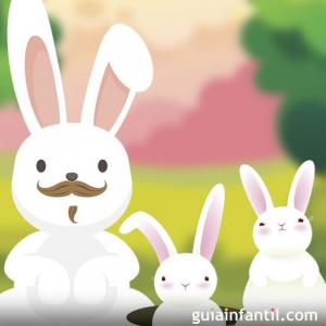 CUENTO : LAS CONEJAS QUE NO SABIAN RESPETAR