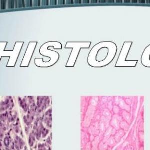 HSTOLOGIA