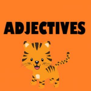 Adjectives