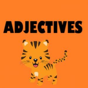 Adjectives
