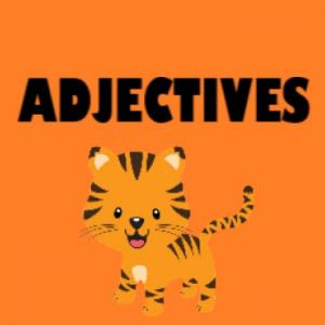 Adjectives 2