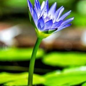 Preguntas sobre la naturaleza
