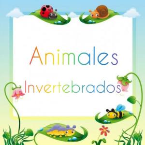 Los animales invertebrados