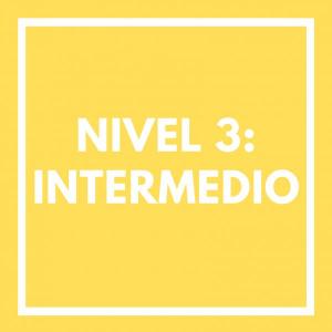 Nivel 3: Intermedio