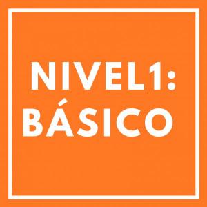 Nivel 1: Básico
