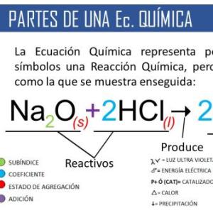 ELEMENTOS DE UNA REACCION