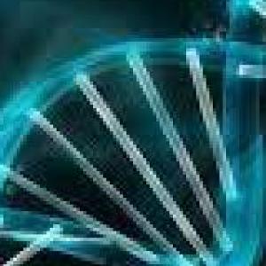 la magia de la ciencia