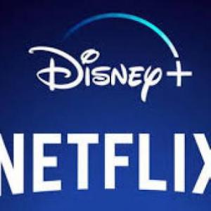 NETFLIX vs DISNEY+