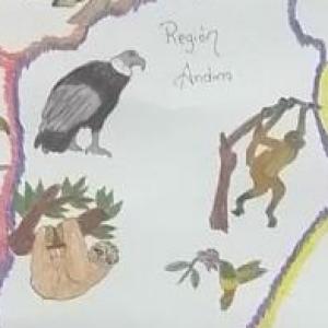 Animales sorprendentes Región Andina de Colombia