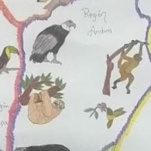 Animales sorprendentes Región Andina de Colombia