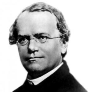 Historia Gregor Mendel
