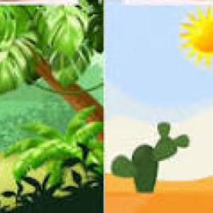 SELVA Y DESIERTO