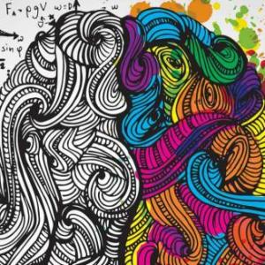 MEMORIA JUEGO -CEREBRO Y COMPORTAMIENTO
