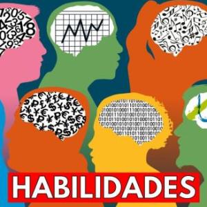 habilidades, roles y  competencias