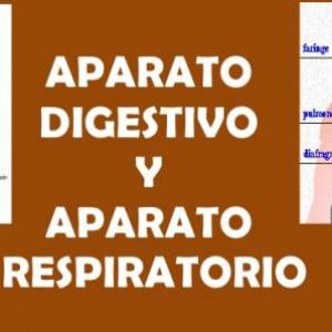 FISIOLOGIA