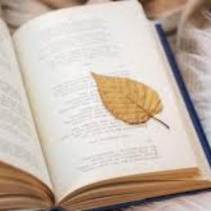 El poema y sus elementos.