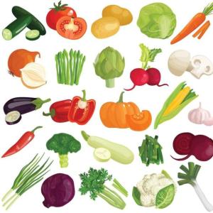 conociendo las verduras 