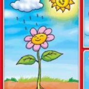 LAS PLANTAS CRECEN