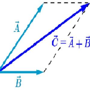 información básica de vectores