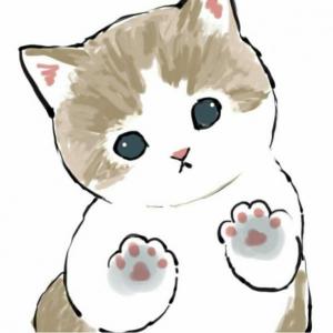 Gatos
