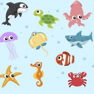 Animales Marinos