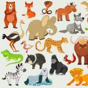 Conozcamos los animales