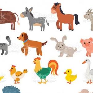 The animals