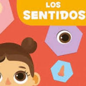 los sentidos