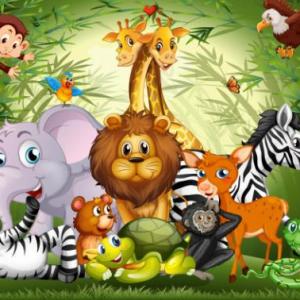 DUCHAZO DE ANIMALES