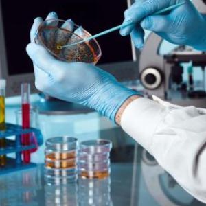 laboratorio