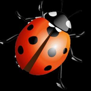 Caring for Wildlife