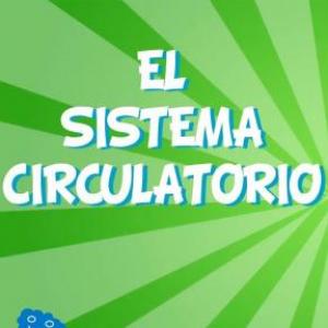 sistema circulatorio