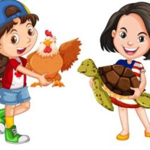 Aprendiendo Juntos 