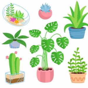 Imagen de portada del videojuego educativo: Plantas , de la temática Biología