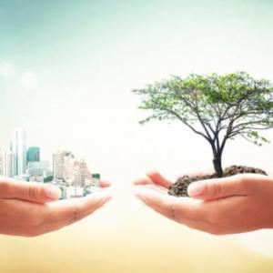 Transformación de los ecosistemas por el ser humano
