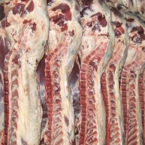 Carnes, aves y caza