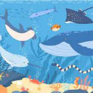 Hermosos animales marinos