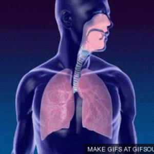 Biomecanica Respiratoria