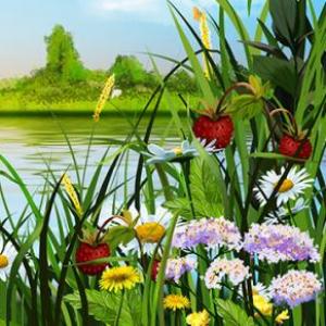 Naturaleza