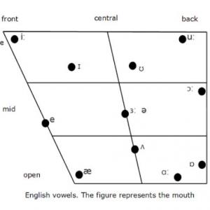 Portada del juego vowels sound – Idiomas