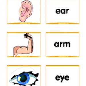Parts of the body