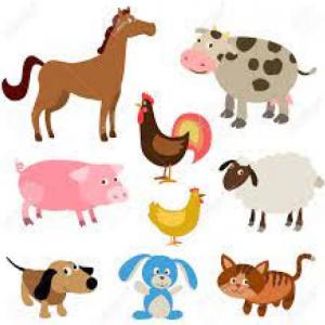 los animales