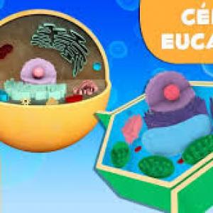 células su función 