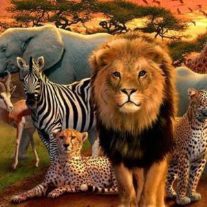 ANIMALES DIFERENTES