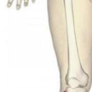 PARTES DEL CUERPO