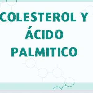 Colesteroly Ácido Palmitíco