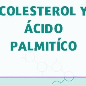 Colesterol y Ácido Palmitíco