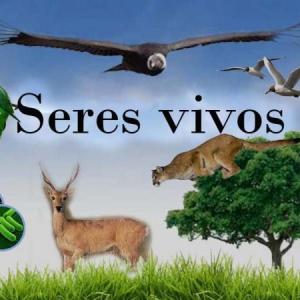 Seres vivos