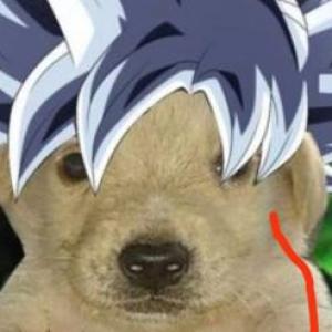 Una animales