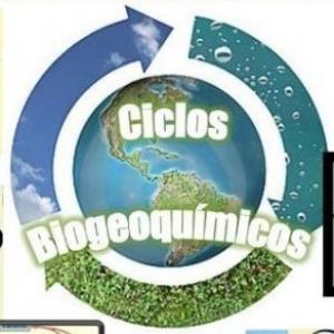 Ciclos Biogeoquímicos